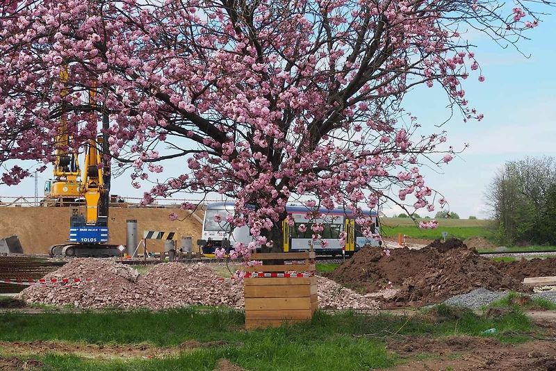 Snímky z výstavby dálnice D35 Džbánov - Litomyšl, duben 2025