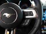 Ford Mustang (2016) 5.0 V8 GT California Special - náhled 18