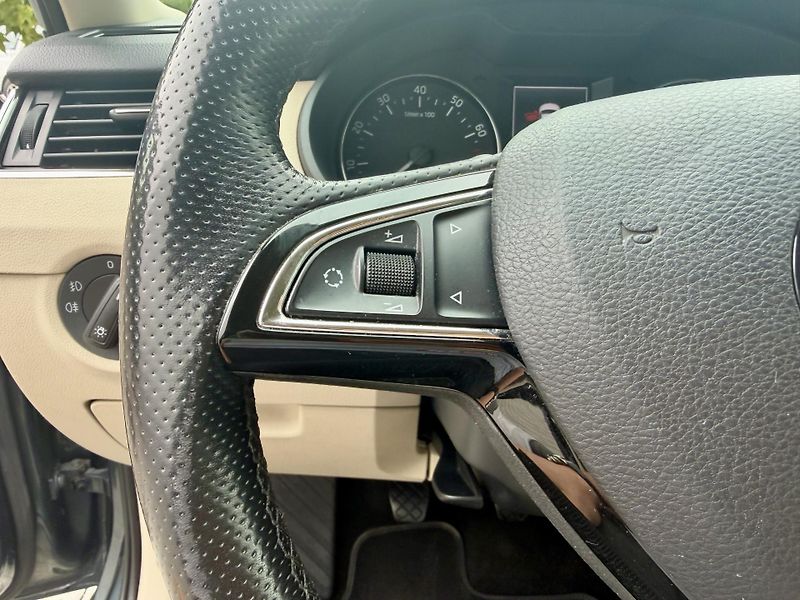 Škoda Octavia (2014) 1.4 TSI 103 kW ELEGANCE - fotka 13 z 22