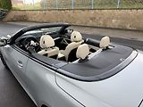 BMW Řada 4 430i 180kW xDRIVE M SPORT - náhled 8