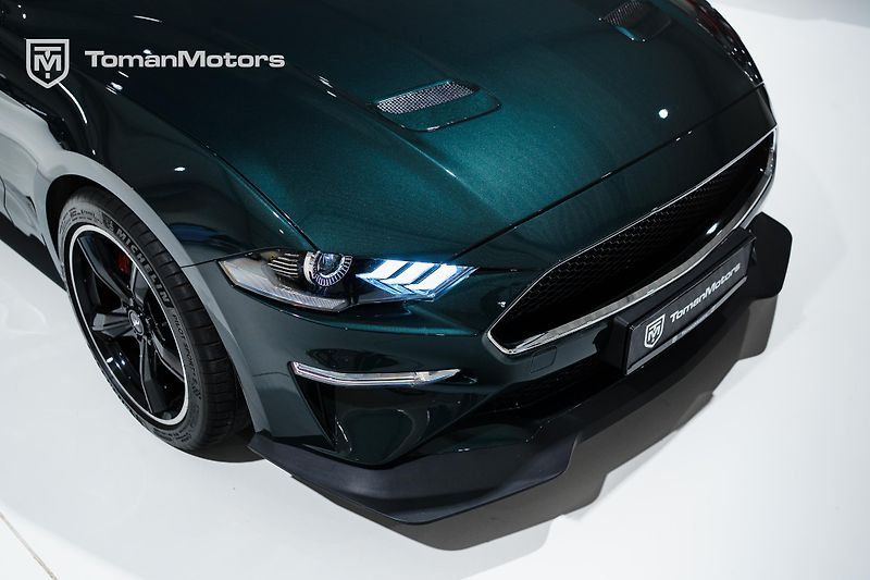 Ford Mustang (2019) Bullitt, Man, RECARO, DPH odpo - fotka 22 z 23
