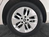 Škoda Octavia (2021) Ambition 2.0 TDI, Tempomat - náhled 15