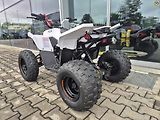 Linhai ATV 100 LH (2026) ATV 110 - náhled 25