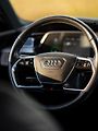 Audi e-tron (2020) /300kW - náhled 27