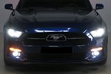 Ford Mustang (2015) 5.0 Ti-VCT V8 GT 50 automat - náhled 7