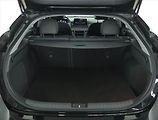 Hyundai Ioniq (2021) Electric 38 kWh, SoH 100% - náhled 14