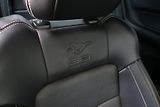Ford Mustang (2015) 5.0 Ti-VCT V8 GT 50 automat - náhled 46