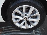 Škoda Octavia (2017) 1.6 TDI Ambiente, Navi - náhled 8