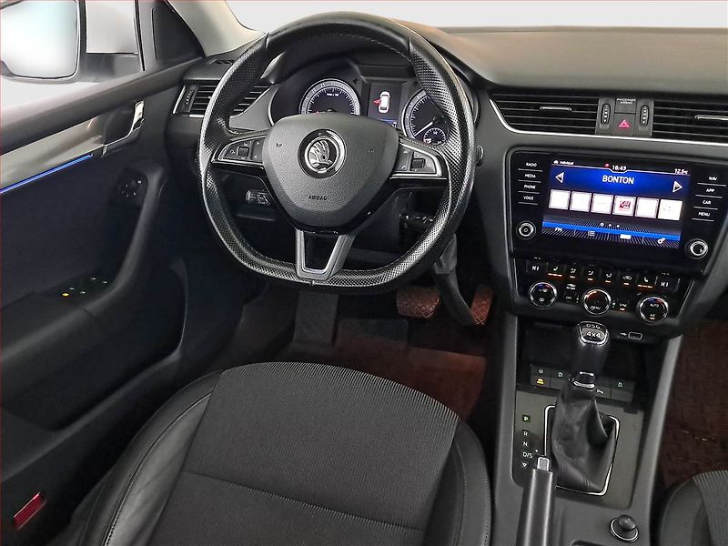Škoda Octavia (2018) 2.0 TDI 4x4, 4X4, Automat - fotka 7 z 17