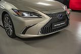 Lexus ES 300h (2020) Luxury, LED, 360, DPH - náhled 8