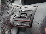 MG ZS (2022) 1.0 TGi, 1.maj,ČR, Exclusive - náhled 20