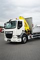 DAF LF (2014) 250 / SKRZYNIOWY + HDS / HYVA  - náhled 36