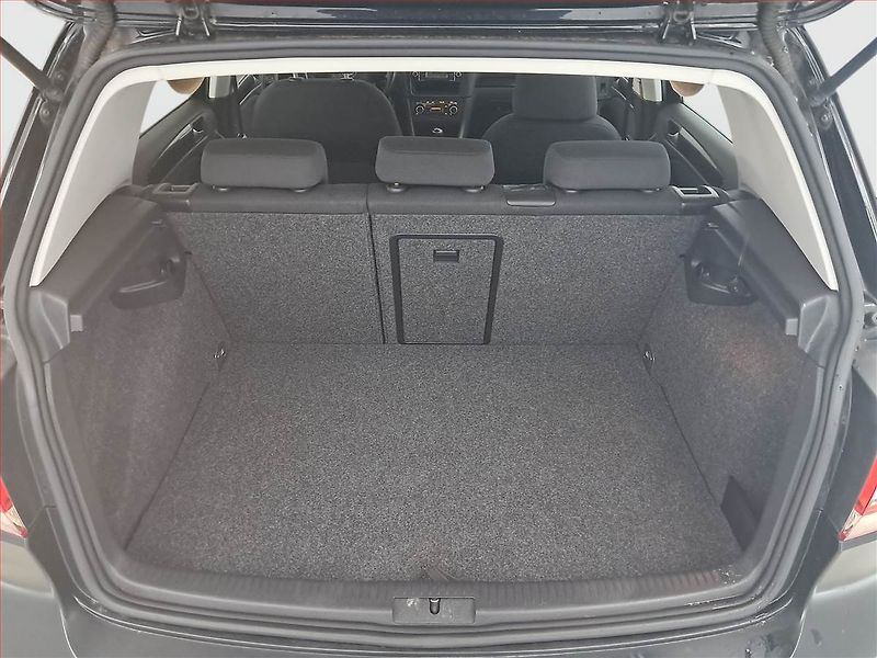 Volkswagen Golf (2009) 1.4 TSI, Park. senzory - fotka 13 z 15