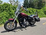 Harley-Davidson (2014) XL 1200 CP Sportster 1200 Cust - náhled 3