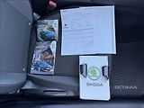 Škoda Octavia 2,0 TDI DPH 1.maj. původ ČR - náhled 49