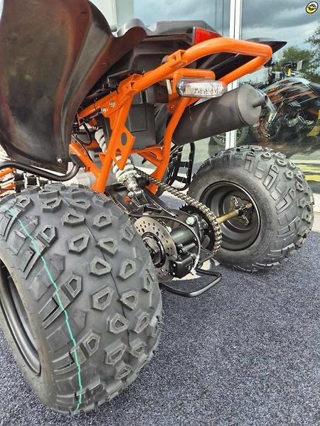 Kayo 180 Sport (2026) - fotka 12 z 17