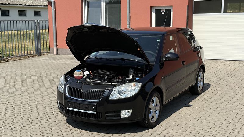 Škoda Fabia (2010) 1.4 16V*63kW*STYLE-EDITION*TOP - fotka 20 z 25