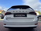 Škoda Octavia (2020) 2.0TDi LED Digi Klima - náhled 43