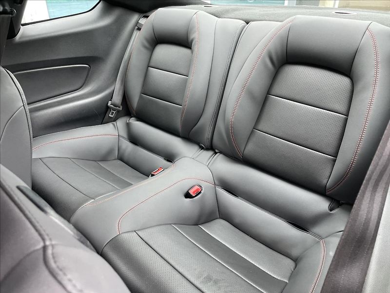 Ford Mustang 2,3 EcoBoost/AUTOMAT - fotka 20 z 23
