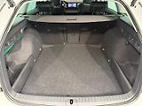Škoda Octavia (2026) TOP SELECTION 2.0TSI 150KW MAT - náhled 32