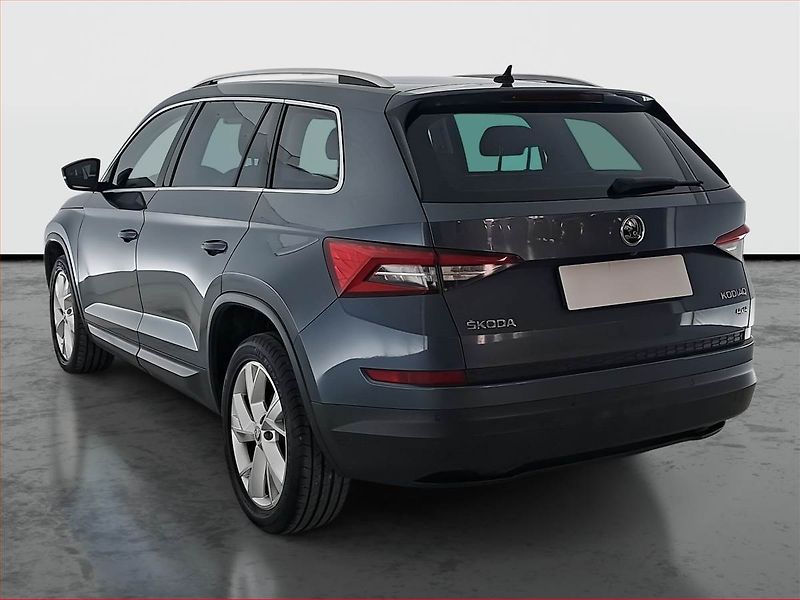 Škoda Kodiaq (2017) Style Plus 2.0 TDI 4x4, 4X4 - fotka 4 z 24
