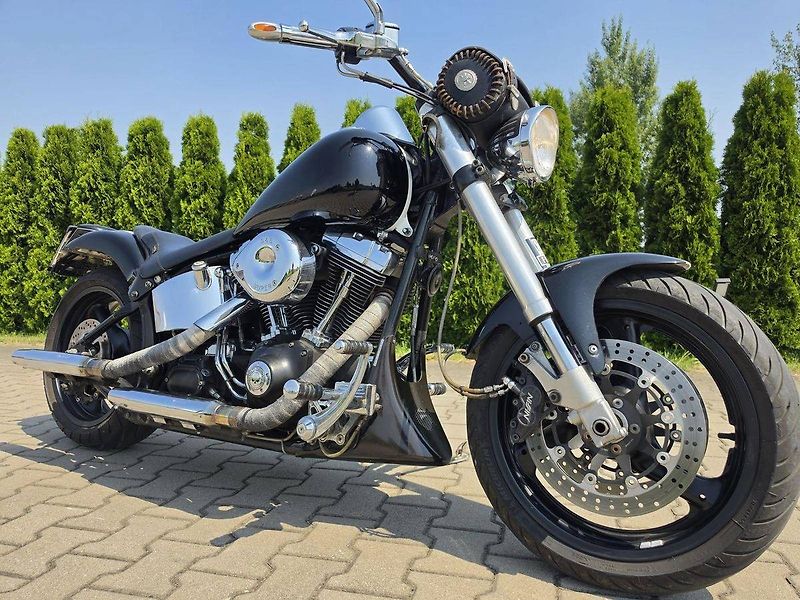 Harley-Davidson FLST Heritage Softail (2002) - fotka 3 z 10