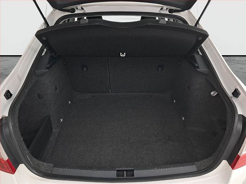Škoda Octavia (2015) 1.6 TDI, ČR,1.maj, Tempomat - fotka 13 z 17