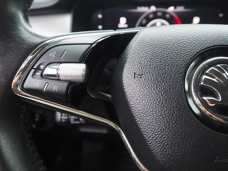 Škoda Kodiaq (2021) 2.0 TDI, 4x4, DSG - fotka 21 z 35
