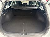 Kia Ceed (2024) SPIN 1.0T-GDI 74kW CZ DPH - náhled 6