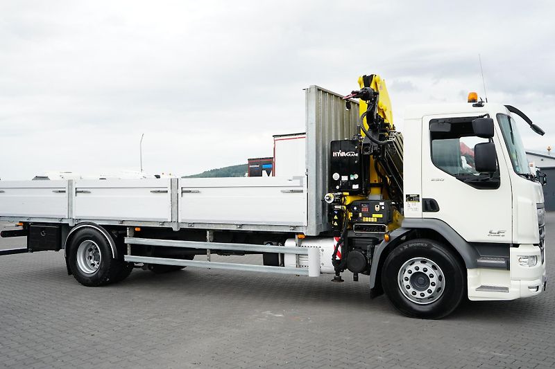DAF LF (2014) 250 / SKRZYNIOWY + HDS / HYVA  - fotka 30 z 56