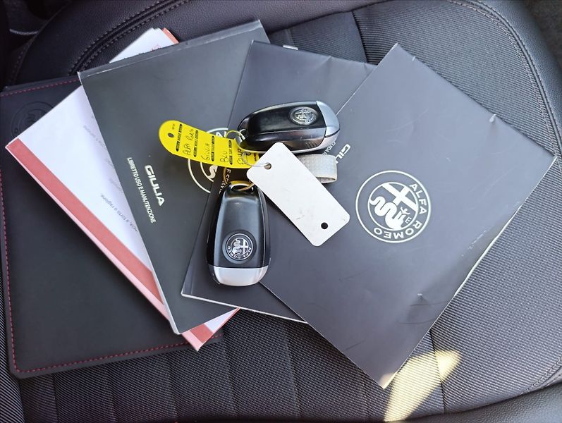 Alfa Romeo Giulia 2,2 JTD Automat Navi ,Tempomat - fotka 32 z 33