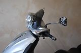 Piaggio Beverly 500 (2004) - náhled 20
