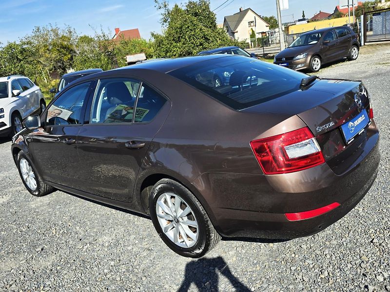 Škoda Octavia 1.4TSI 110KW 1.MAJ 99TKM ČR! - fotka 4 z 29