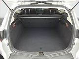 Ford Focus (2017) 1.0 EcoBoost, Navi - náhled 13