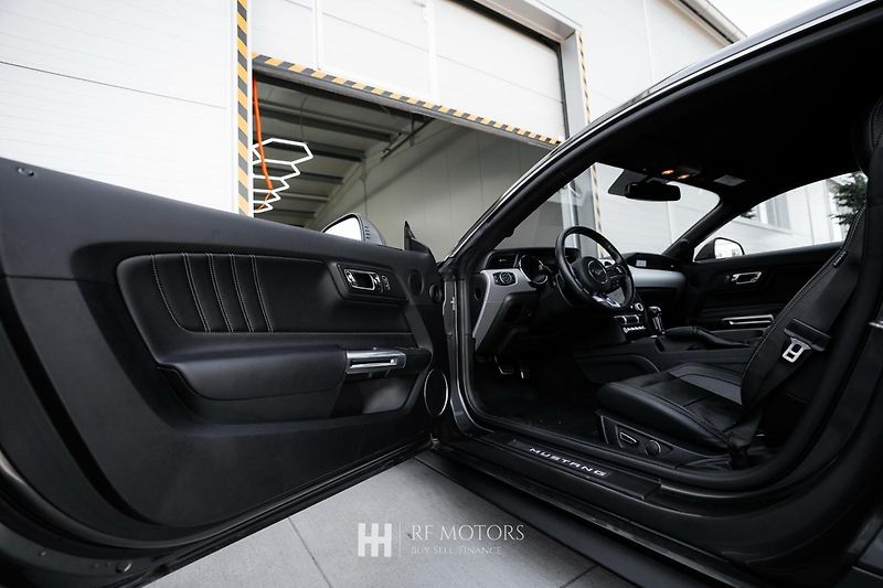 Ford Mustang (2018) Mustang 5.0 V8 GT 310kW - fotka 19 z 43