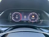 Škoda Octavia (2021) 2.0TDi 1.MAJ. ČR DPH SERVISKA - náhled 10