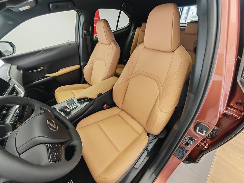 Lexus UX 300h F Sport Design 300H - fotka 18 z 44