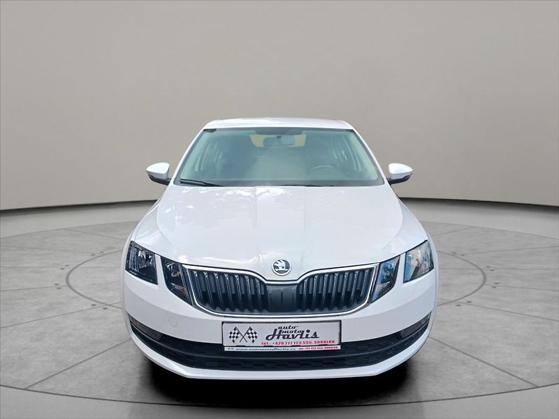 Škoda Octavia 1,6 TDI 85Kw plný servis - fotka 2 z 19