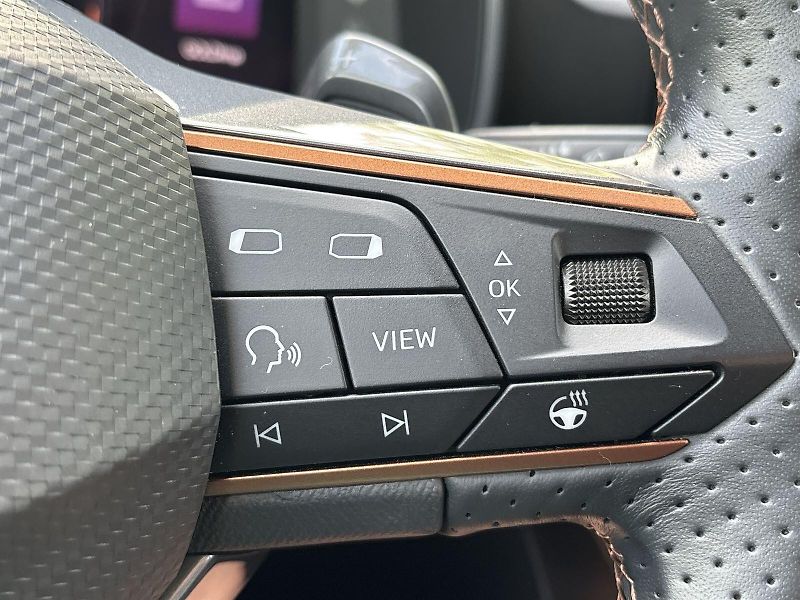 Cupra Formentor (2024) 1.5 TSI DSG - fotka 19 z 28
