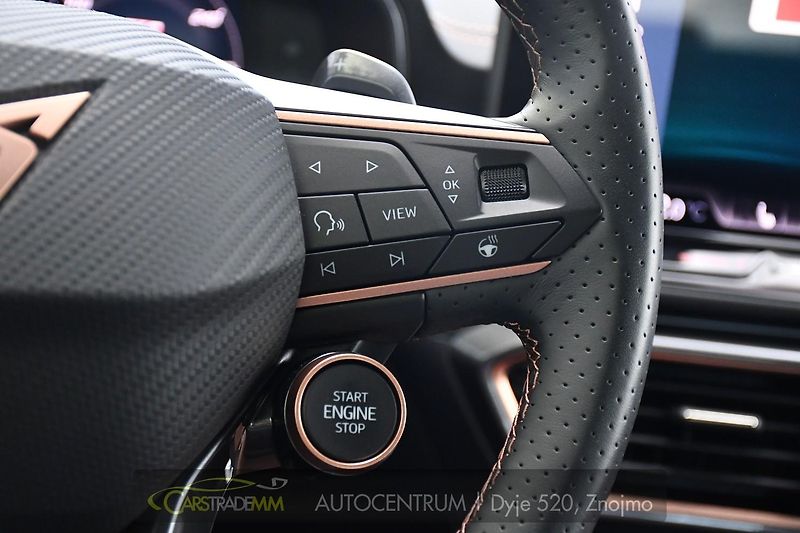 Cupra Formentor 2.0TSi VZ333 4Drive SENNHEISER - fotka 31 z 53