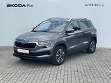 Škoda Karoq (2024) 2.0 TDI / 110 kW DSG 4x4 Top S - náhled 1