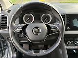 Škoda Karoq 2,0 TDI 110 kW DSG DPH ČR - náhled 11