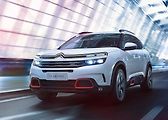 Citroën - bílá (2022 aut)