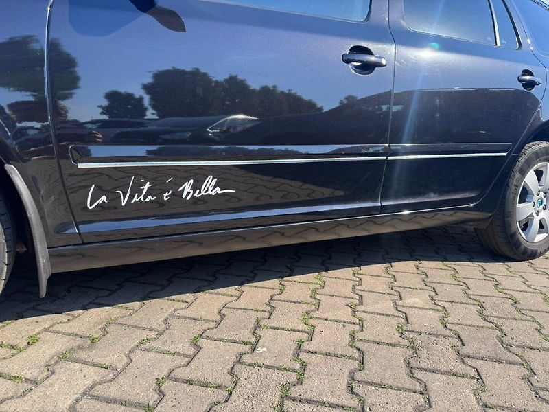Škoda Octavia (2009) 1,9 TDI 77 KW 2. MAJ SERVISKA - fotka 18 z 50