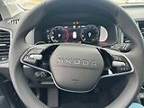 Škoda Karoq (2026) TOP SELECTION 4x4 DSG - náhled 9