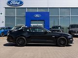 Ford Mustang 5,0 GT V8 330kW 55YearsEdition - náhled 6