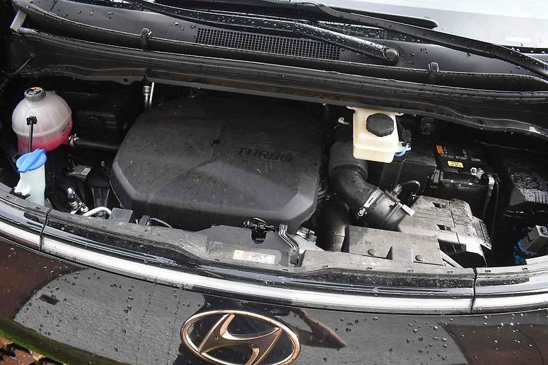 Auto se hodí k pohodlnému cestování nejen po českých luzích a hájích