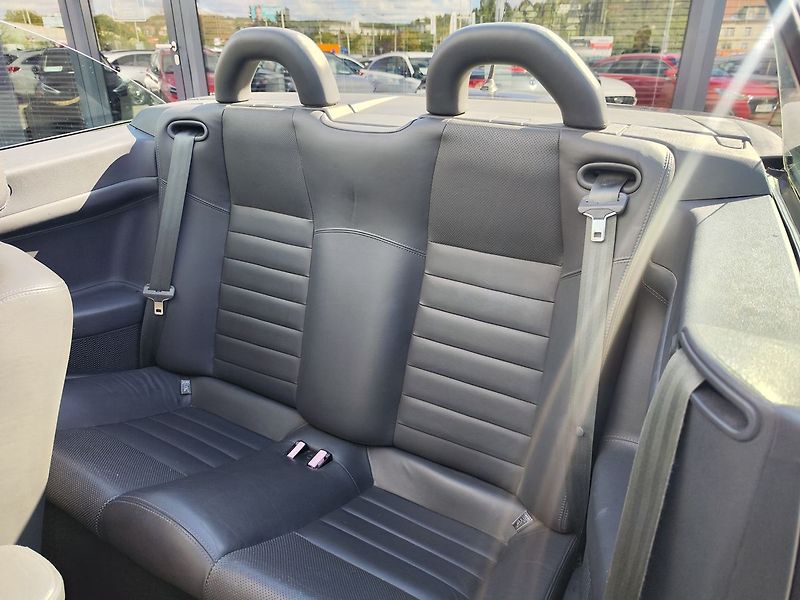 Renault Mégane 2.0 16V/99kW Cabrio - fotka 17 z 36