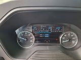 Ford Ostatní (2023) - náhled 13
