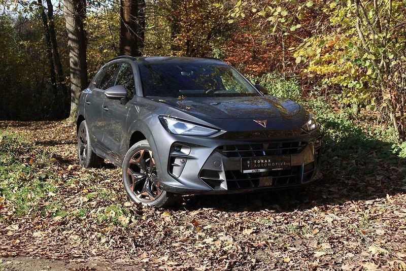 Cupra Terramar 2.0 TSI prošla testem experta Matěje Myšky.